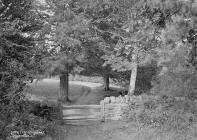 Path to Boultibrooke Presteign i.e. Presteigne