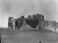 Oystermouth castle