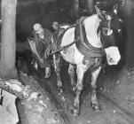 Darran Colliery, Neath Abbey, c.1974