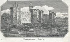  Carnarvon Castle