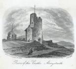  Ruins of the castle, Aberystwith