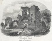  Denbigh Castle