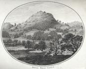  Dinas Bran castle