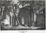  Valle Crucis abbey, Denbighshire