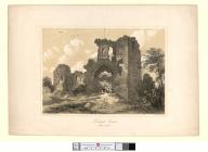  Denbigh Castle