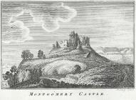  Montgomery castle