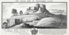 The south view of Montgomery Castle