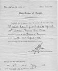 Archie Lee Death Certificate, 1918