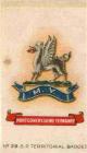 Montgomeryshire Yeomanry cigarette card