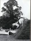 The show jumper David Broome on Philco at...