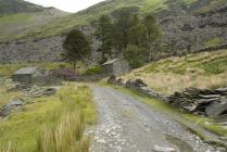 Cwmorthin Conglog 22