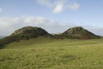 Deganwy Castle