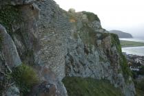 Deganwy Castle 26