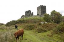 Dolwyddelan Castle 18