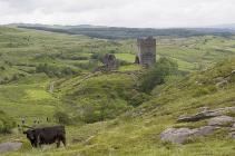 Dolwyddelan Castle 19