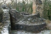 Ewloe Castle 37