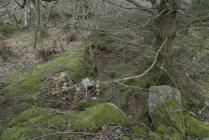 Pen-y-Castell, Maenan 03