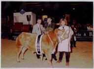 12. Young Farmers Club at the Winter Fair,...