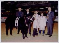 20. Young Farmers Club at the Winter Fair,...