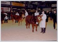22. Young Farmers Club at the Winter Fair,...