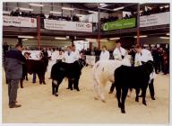 28. Young Farmers Club at the Winter Fair,...