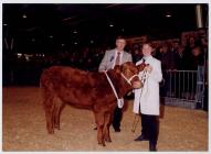 32.  Young Farmers Club at the Winter Fair,...