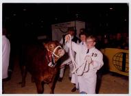 33. Young Farmers Club at the Winter Fair,...