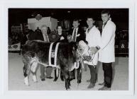 46. Young Farmers Club at the Winter Fair,...