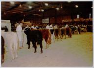 8. Young Farmers Club at the Winter Fair,...