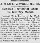 A Mametz Wood Hero - Cambrian Daily Leader 28th...