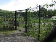 The Llangeinor community garden, summer 2013