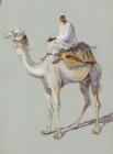 Camel at Luxor - Attwood Mathews, Florence...