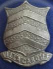 Cardiff County Borough Police collar insignia.