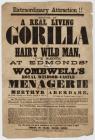 Poster - Edmunds’ (late Wombwell’s) Royal...