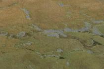  DORWEN AR GIEDD, ENCLOSURES AND NATURAL FEATURES