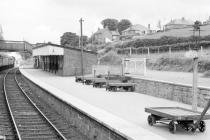 Newtown Station, Powys, 1966/06/20