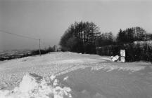 Heavy Snow, January 1982