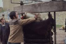 Cider making, Cilgwyn Farm Boughrood, Powys, 1977