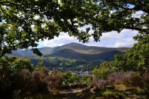 Llanberis from Coed Dinorwig