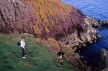 A Visit to 'Wreck Cove', Skokholm Island