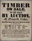 Timber on Sale to be sold by Auction 1838