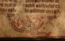 F. 21r. Wyvern