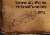 F. 44v. Fish