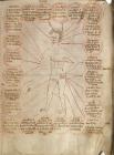 P. 11 a chart showing the parts of the body to...