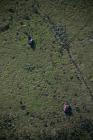  SENNYBRIDGE MILITARY TRAINING AREA, MYNYDD...