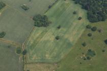  BRYN-Y-PYS PARKLAND, CROPMARKS