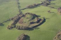  CASTELL TREGARON;SUNNYHILL WOOD CAMP