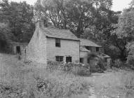  YR HEN FELIN, GLYN WOODS