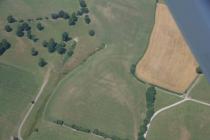  TIRNEWYDD, CROPMARK