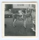 Beryl Evans (nee Jones) on the back of a donkey...